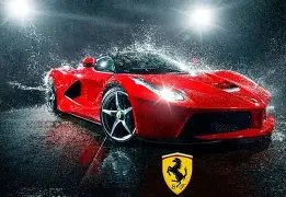 泰山球迷盛,家球迷团体,齐聚,OD体育,OD体育官网,OD体育官网玩家首选